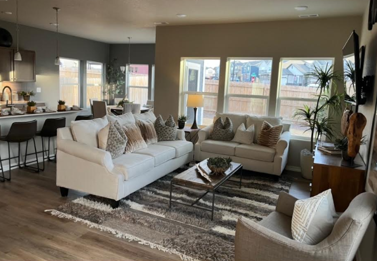 Sunlit open living and dining area professionally cleaned