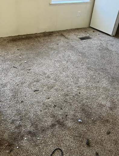 Stained, dirty carpet before VYP deep cleaning