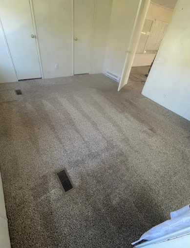 Freshly vacuumed carpet with clean lines after VYP